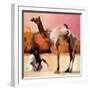 Dsu and Said, Rann of Kutch, 1996-Mark Adlington-Framed Giclee Print