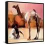 Dsu and Said, Rann of Kutch, 1996-Mark Adlington-Framed Stretched Canvas