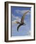 Dsungaripterus Weii, a Pterosaur That from the Early Cretaceous Period-null-Framed Art Print