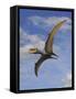 Dsungaripterus Weii, a Pterosaur That from the Early Cretaceous Period-null-Framed Stretched Canvas