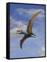 Dsungaripterus Weii, a Pterosaur That from the Early Cretaceous Period-null-Framed Stretched Canvas