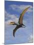 Dsungaripterus Weii, a Pterosaur That from the Early Cretaceous Period-null-Mounted Art Print