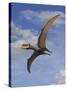 Dsungaripterus Weii, a Pterosaur That from the Early Cretaceous Period-null-Stretched Canvas