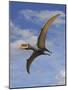 Dsungaripterus Weii, a Pterosaur That from the Early Cretaceous Period-null-Mounted Art Print