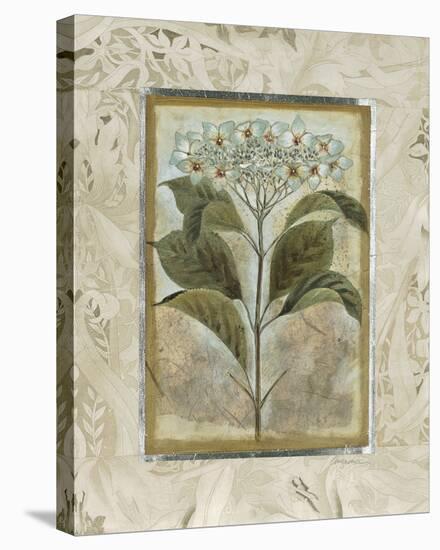 Du Jardin II-Augustine-Stretched Canvas