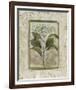 Du Jardin II-Augustine-Framed Giclee Print