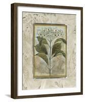 Du Jardin II-Augustine-Framed Giclee Print