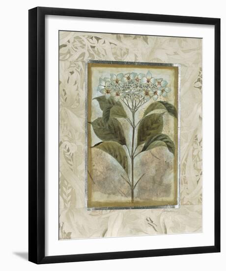 Du Jardin II-Augustine-Framed Giclee Print