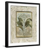 Du Jardin II-Augustine-Framed Giclee Print