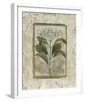 Du Jardin II-Augustine-Framed Giclee Print