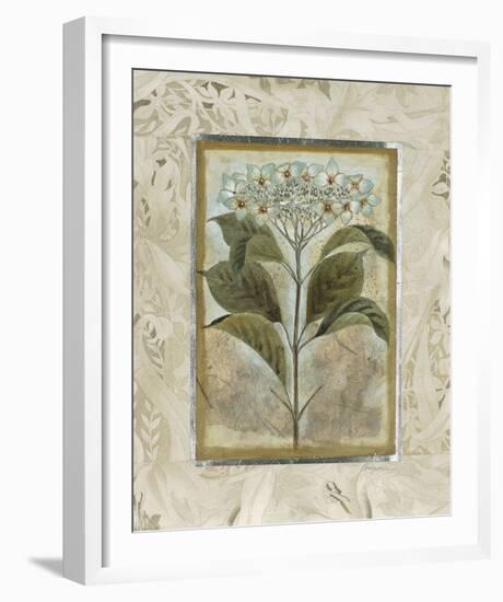 Du Jardin II-Augustine-Framed Giclee Print