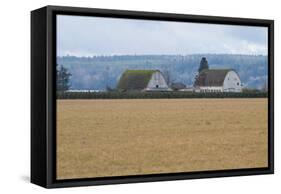 Dual Barns-Dana Styber-Framed Stretched Canvas