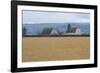 Dual Barns-Dana Styber-Framed Photographic Print