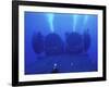 Dual Dry Deck Shelters Mounted to the Deck of Uss Kamehameha-null-Framed Photographic Print