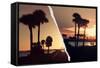 Dual Torn Posters Series - Miami-Philippe Hugonnard-Framed Stretched Canvas