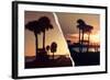 Dual Torn Posters Series - Miami-Philippe Hugonnard-Framed Photographic Print