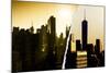 Dual Torn Posters Series - New York-Philippe Hugonnard-Mounted Photographic Print