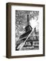 Dual Torn Posters Series - Paris - France-Philippe Hugonnard-Framed Photographic Print