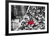 Dual Torn Posters Series - Paris - France-Philippe Hugonnard-Framed Photographic Print