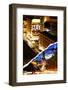 Dual Torn Posters Series - San Francisco-Philippe Hugonnard-Framed Photographic Print