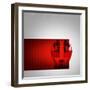 Dual-NaxArt-Framed Art Print