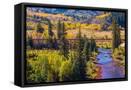 Canvas Black