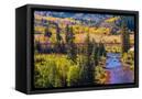 Canvas Black