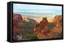 Canvas Black