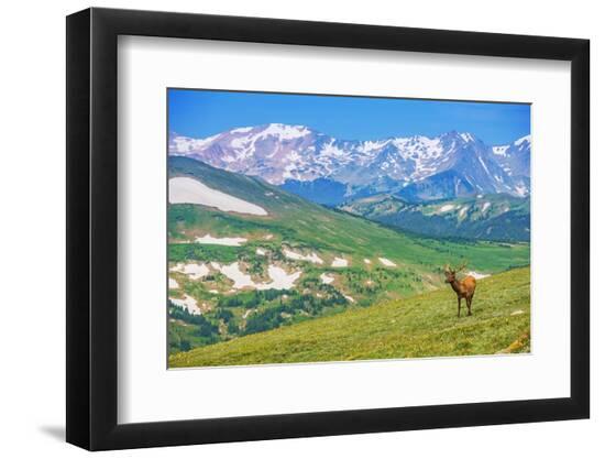 Premium Photographic Print, , large