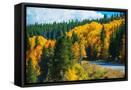 Canvas Black