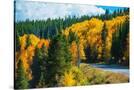 Stretched Canvas