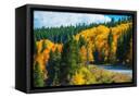 Canvas Black