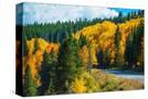 Stretched Canvas
