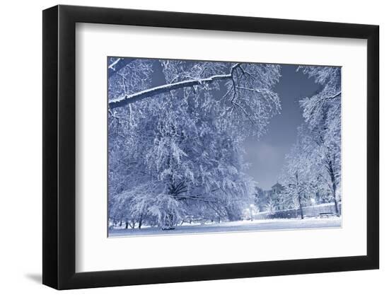 Premium Photographic Print, , large