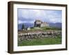 Duart Castle, Isle of Mull, Argyllshire, Inner Hebrides, Scotland, United Kingdom-Roy Rainford-Framed Photographic Print