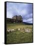 Duart Castle, Isle of Mull, Argyllshire, Inner Hebrides, Scotland, United Kingdom-Christina Gascoigne-Framed Stretched Canvas