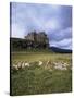 Duart Castle, Isle of Mull, Argyllshire, Inner Hebrides, Scotland, United Kingdom-Christina Gascoigne-Stretched Canvas