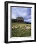 Duart Castle, Isle of Mull, Argyllshire, Inner Hebrides, Scotland, United Kingdom-Christina Gascoigne-Framed Photographic Print