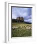 Duart Castle, Isle of Mull, Argyllshire, Inner Hebrides, Scotland, United Kingdom-Christina Gascoigne-Framed Photographic Print