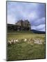 Duart Castle, Isle of Mull, Argyllshire, Inner Hebrides, Scotland, United Kingdom-Christina Gascoigne-Mounted Photographic Print