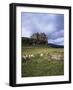 Duart Castle, Isle of Mull, Argyllshire, Inner Hebrides, Scotland, United Kingdom-Christina Gascoigne-Framed Photographic Print