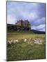 Duart Castle, Isle of Mull, Argyllshire, Inner Hebrides, Scotland, United Kingdom-Christina Gascoigne-Mounted Photographic Print