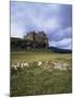 Duart Castle, Isle of Mull, Argyllshire, Inner Hebrides, Scotland, United Kingdom-Christina Gascoigne-Mounted Photographic Print