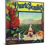 Duarte, California, Duarte Beauties Brand Citrus Label-Lantern Press-Mounted Art Print