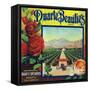 Duarte, California, Duarte Beauties Brand Citrus Label-Lantern Press-Framed Stretched Canvas