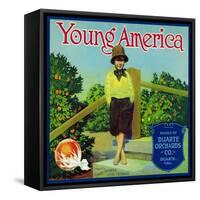 Duarte, California, Young America Brand Citrus Label-Lantern Press-Framed Stretched Canvas