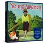 Duarte, California, Young America Brand Citrus Label-Lantern Press-Stretched Canvas