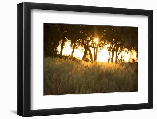 Duba Plains Landscape-Michele Westmorland-Framed Photographic Print