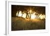 Duba Plains Landscape-Michele Westmorland-Framed Photographic Print