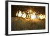 Duba Plains Landscape-Michele Westmorland-Framed Photographic Print